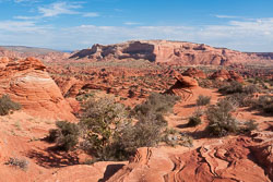 2010_usa_5907.jpg 2010_usa_5907.jpg