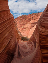 2010_usa_5930.jpg 2010_usa_5930.jpg