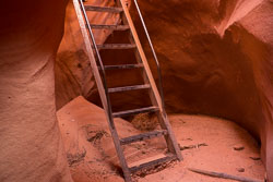 2011_usa_3226.jpg 2011_usa_3226.jpg