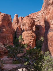 2010_usa_3518.jpg 2010_usa_3518.jpg