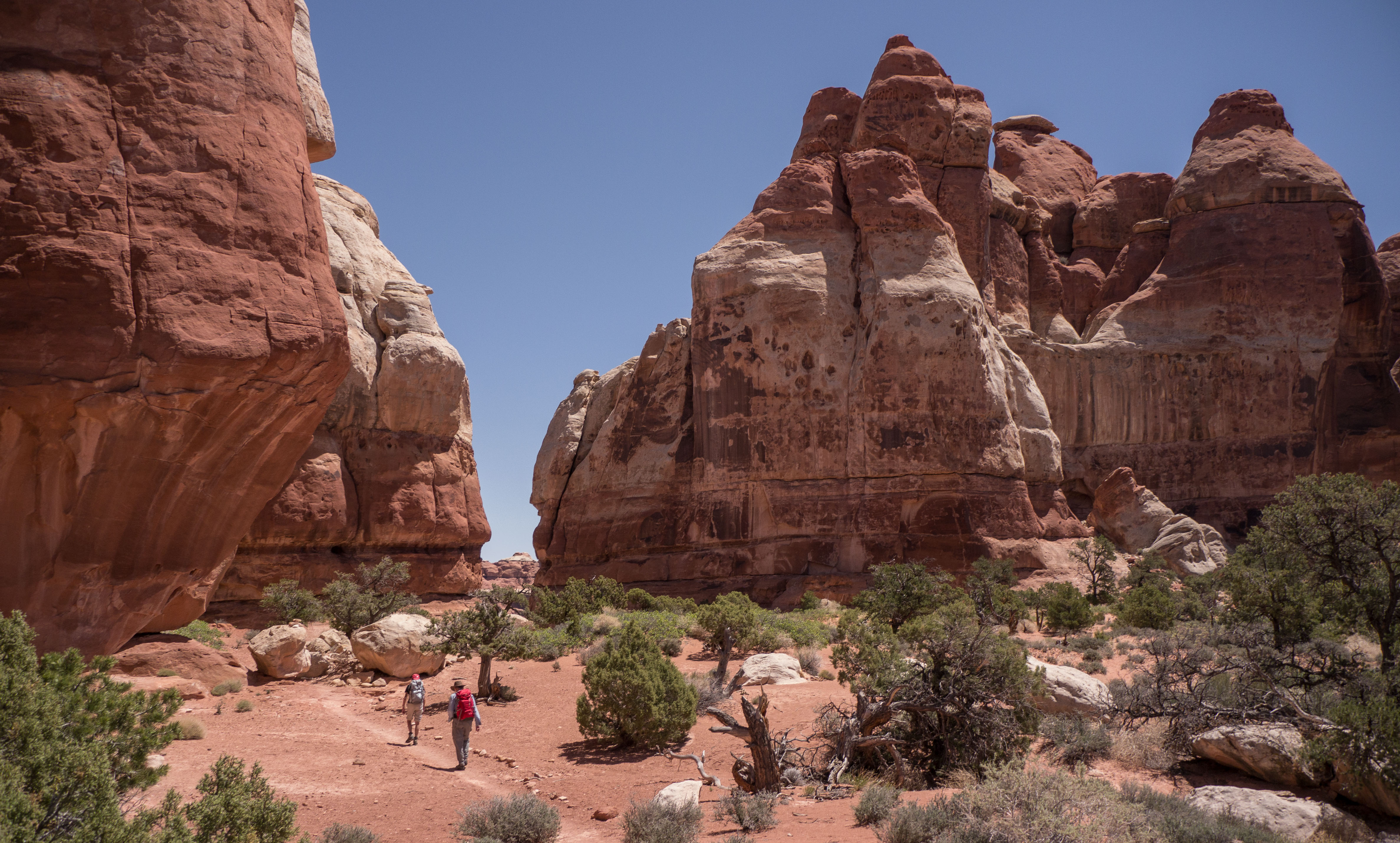 2011_usa_1240.jpg 2011_usa_1240.jpg