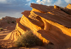 2011_usa_2939.jpg 2011_usa_2939.jpg