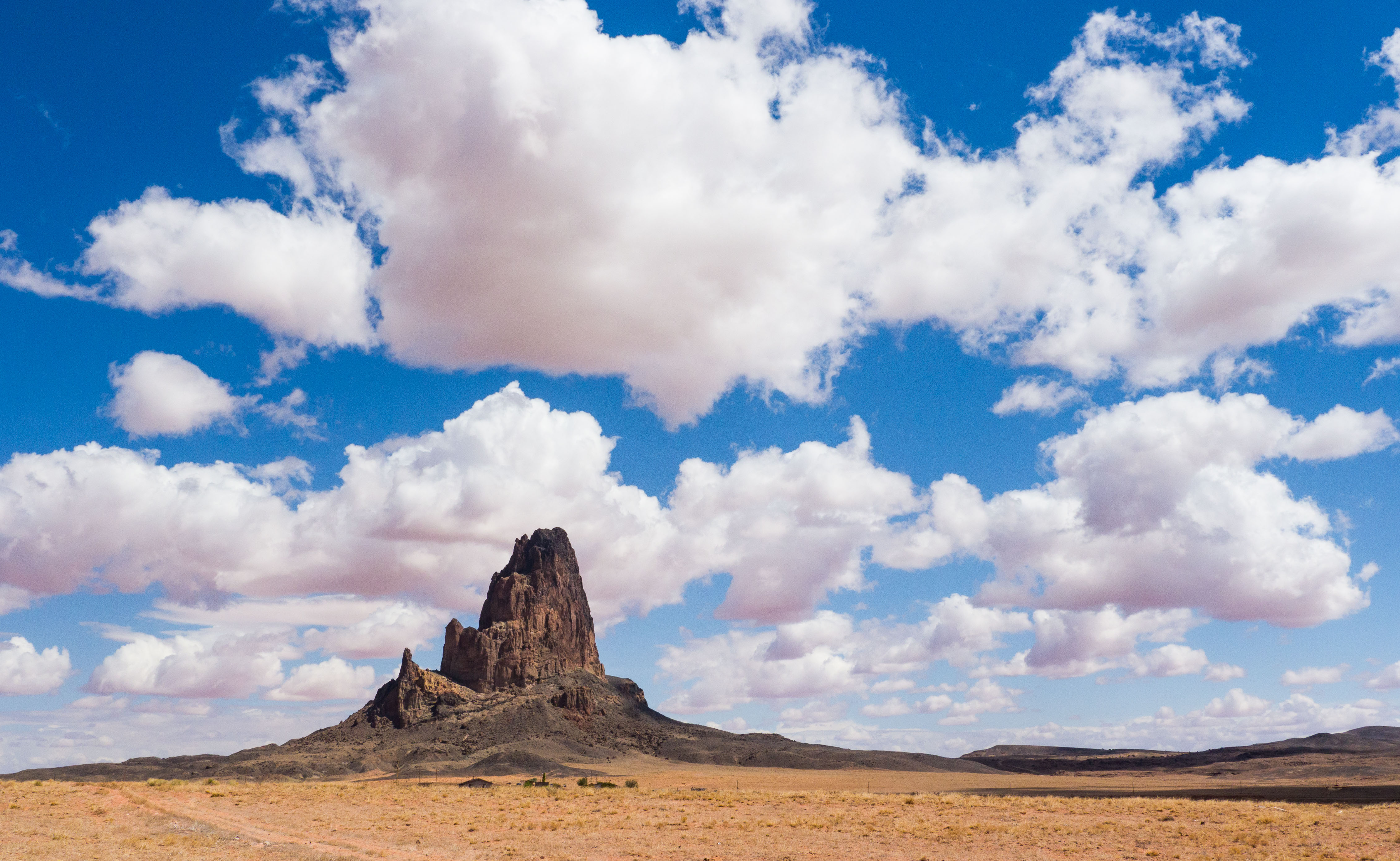 2011_usa_3434.jpg 2011_usa_3434.jpg