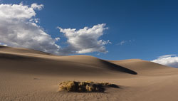 2011_usa_4172.jpg 2011_usa_4172.jpg