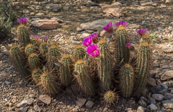 2013_usa_0452.jpg 2013_usa_0452.jpg