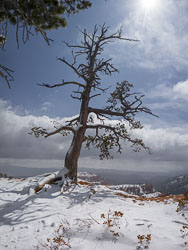 2013_usa_1229-proc.jpg 2013_usa_1229-proc.jpg