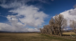 2013_usa_1273-proc.jpg 2013_usa_1273-proc.jpg