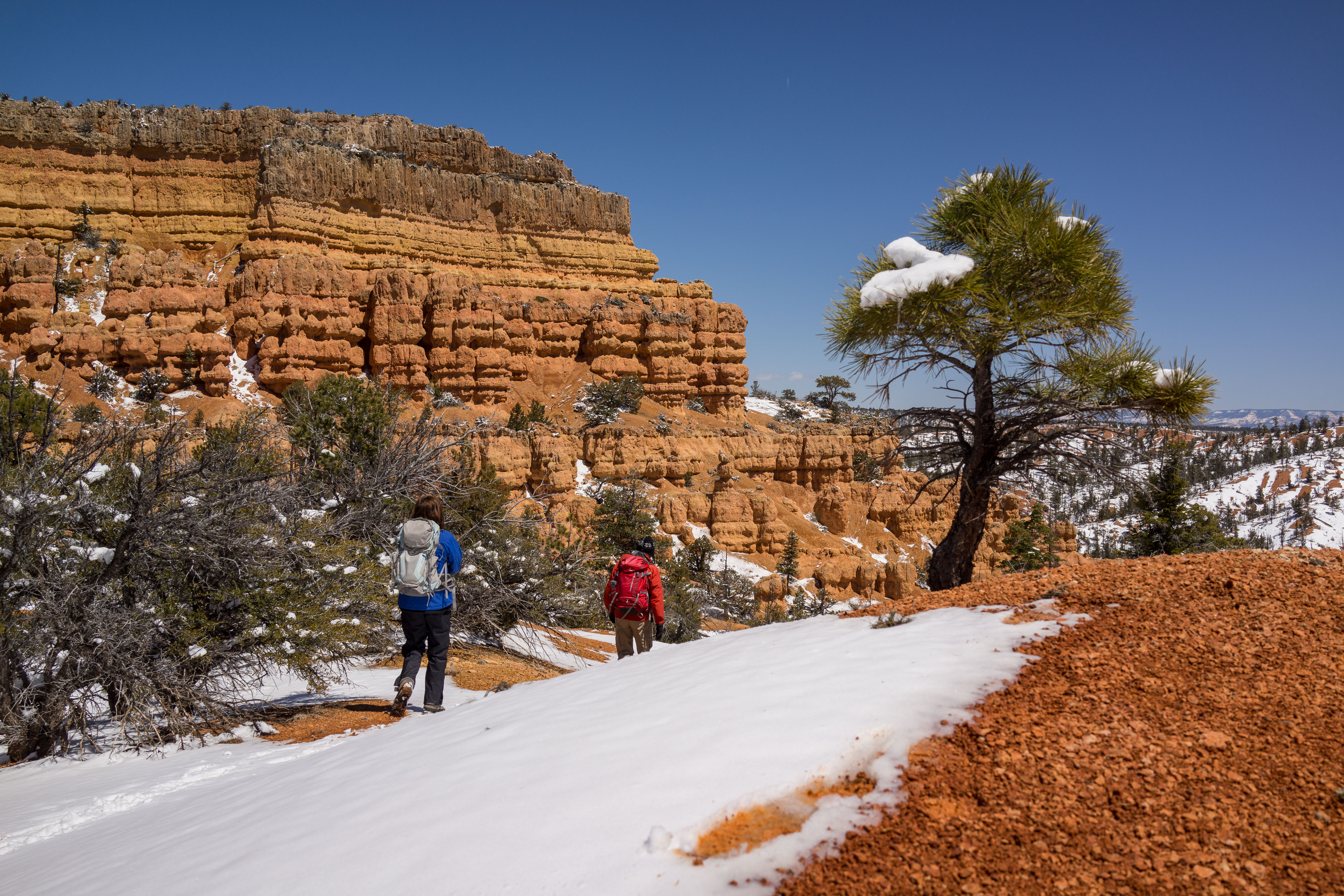 Golden Wall_Buckhorn Loop Trailddd 2013_usa_1530.jpg