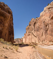 2013_usa_1836-proc.jpg 2013_usa_1836-proc.jpg