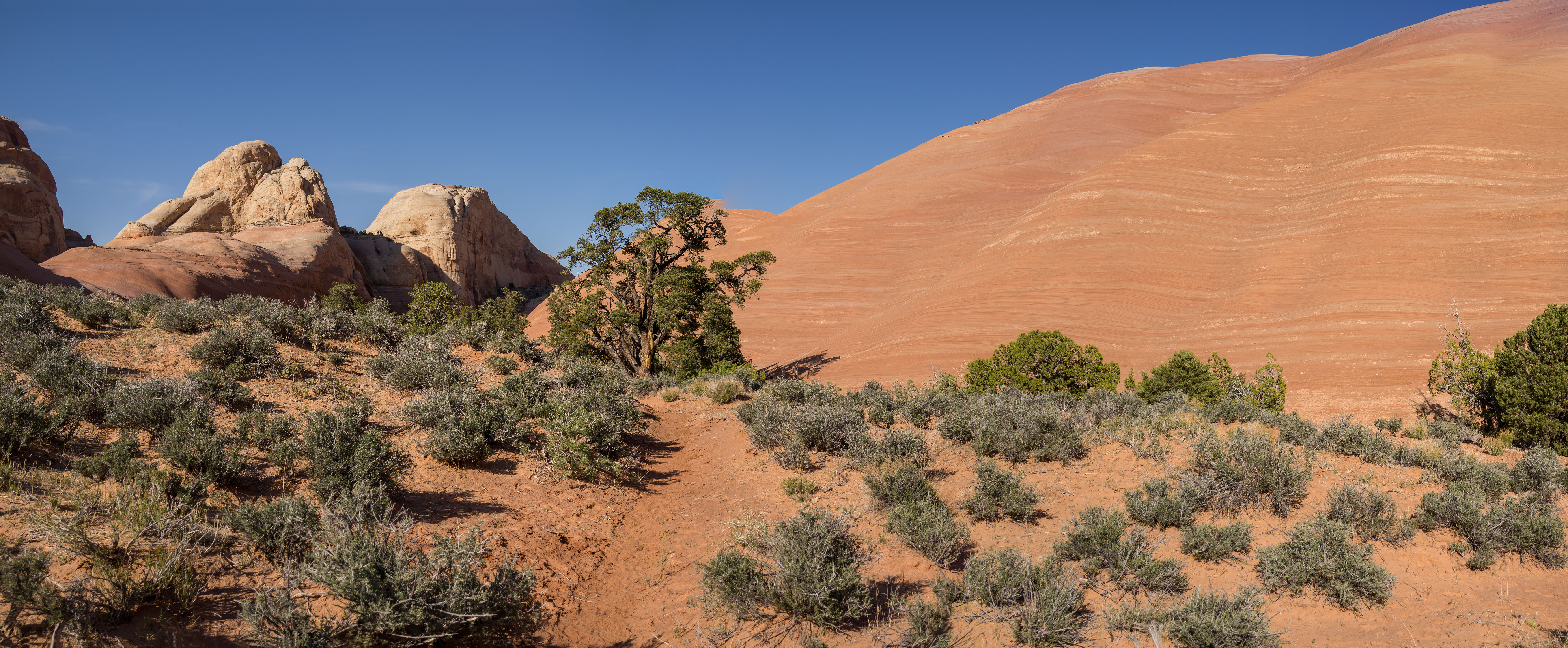 2013_usa_2596-proc.jpg 2013_usa_2596-proc.jpg