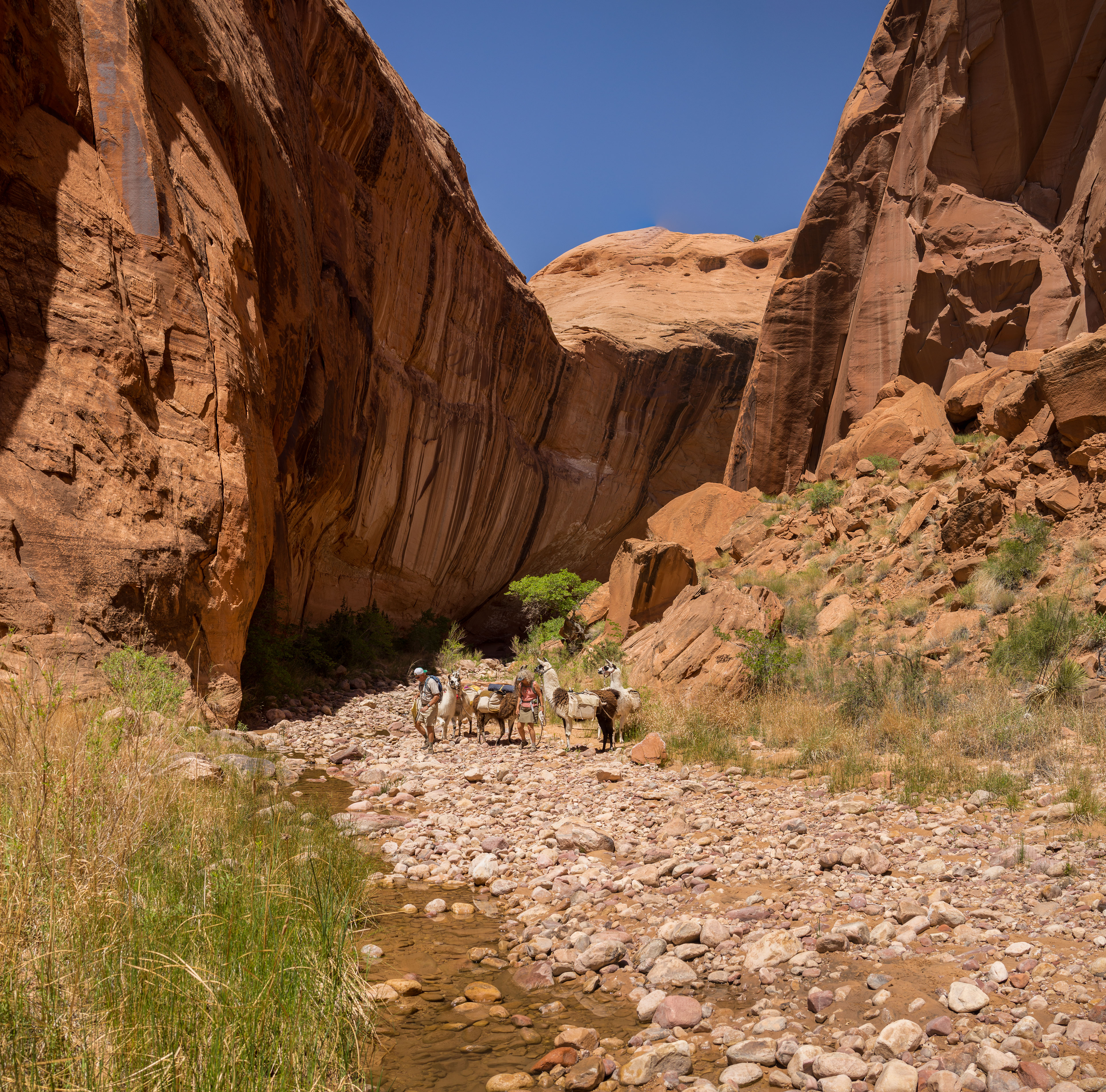 2013_usa_3502-proc.jpg 2013_usa_3502-proc.jpg