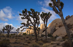 2013_usa_5149.jpg 2013_usa_5149.jpg