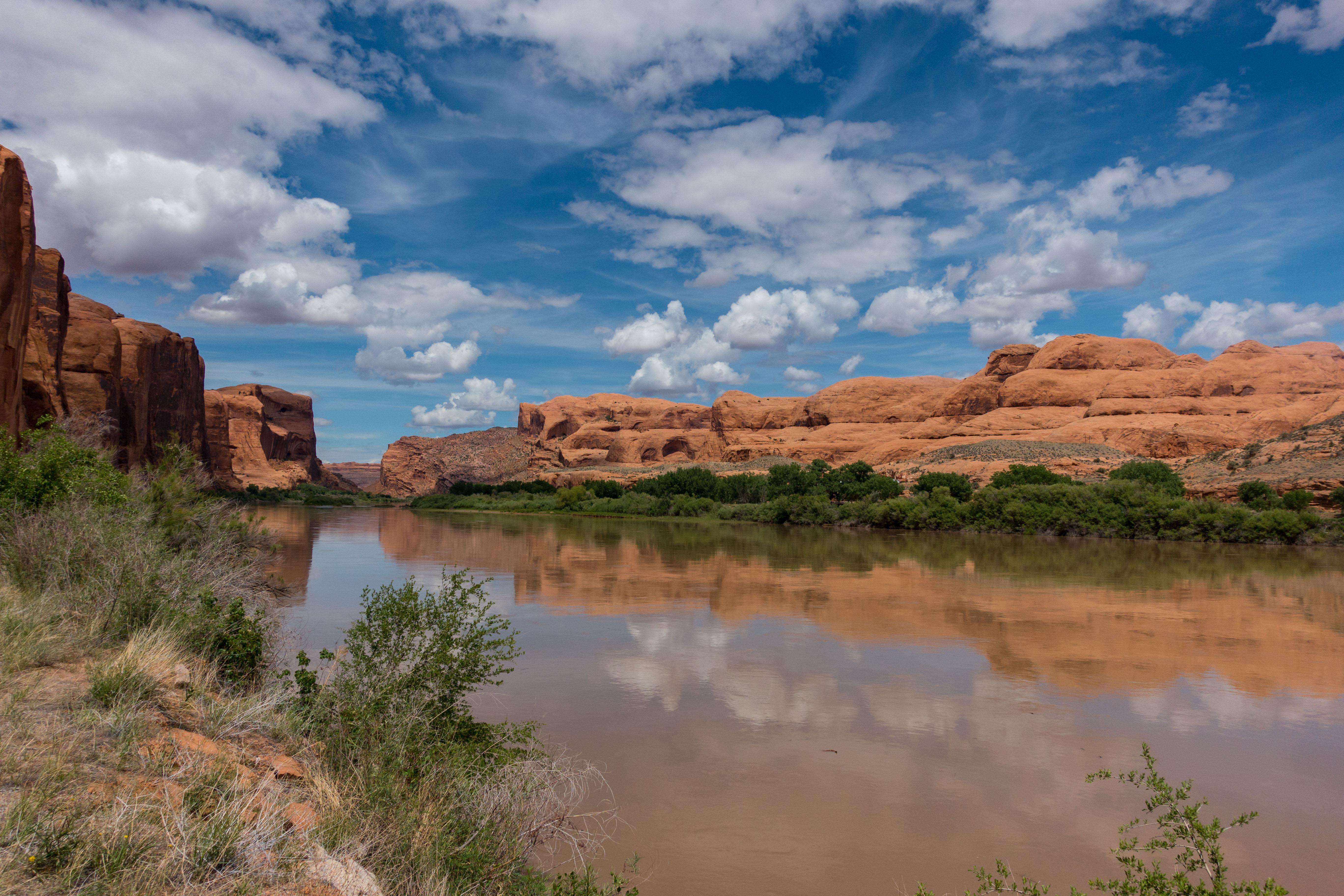 2015_usa_2850.jpg 2015_usa_2850.jpg