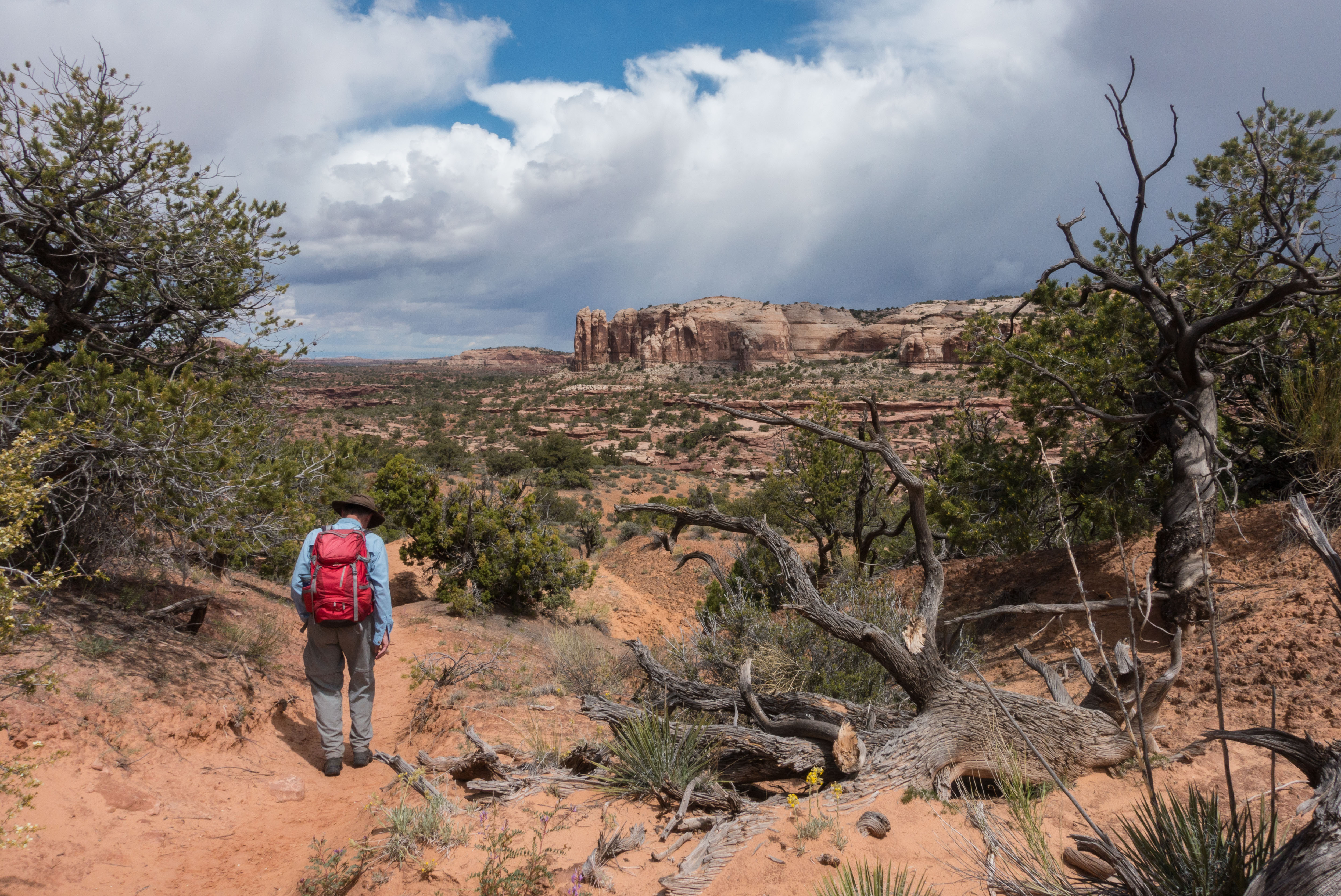 2015_usa_2916.jpg 2015_usa_2916.jpg