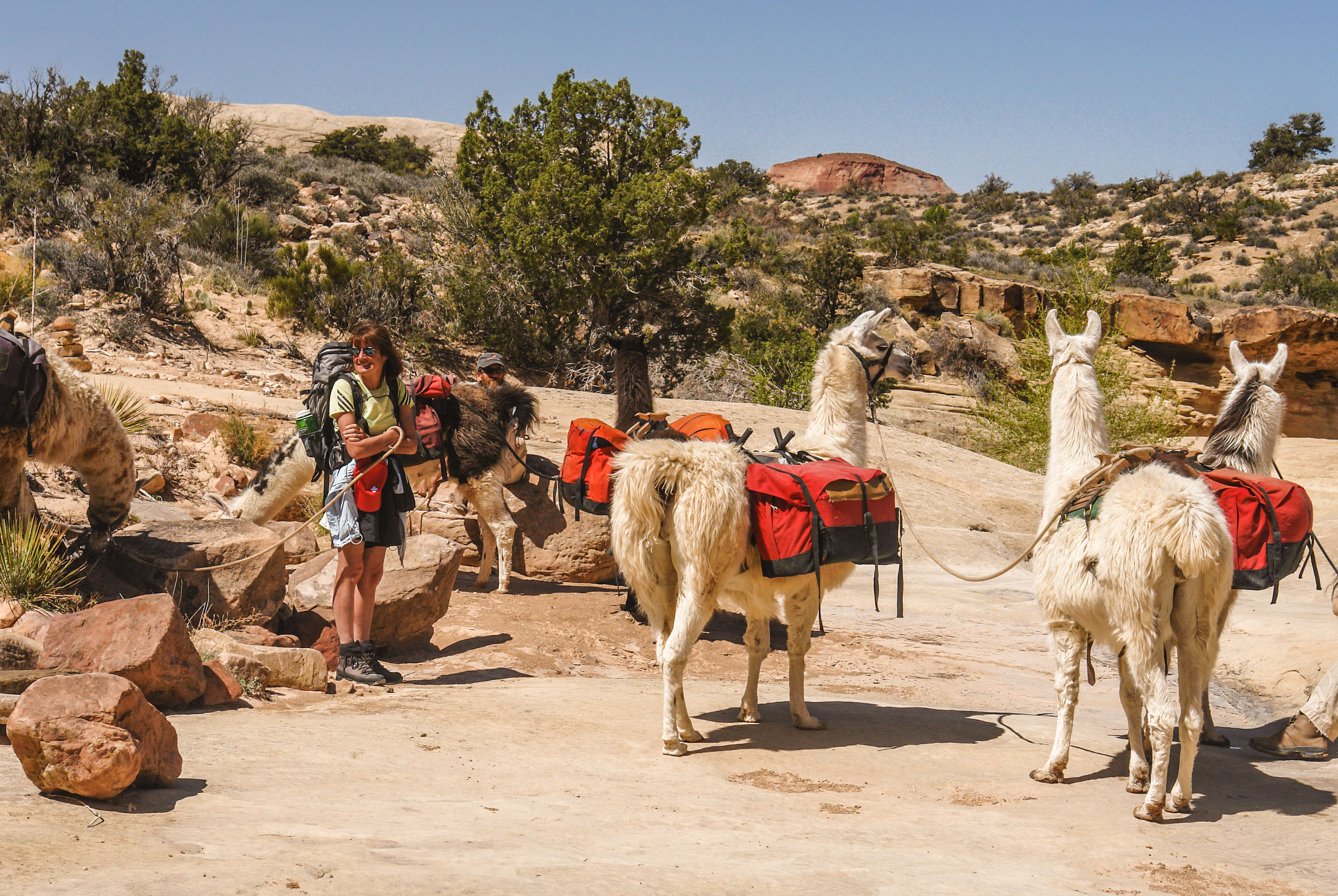 2006_usa_1207.jpg 2006_usa_1207.jpg