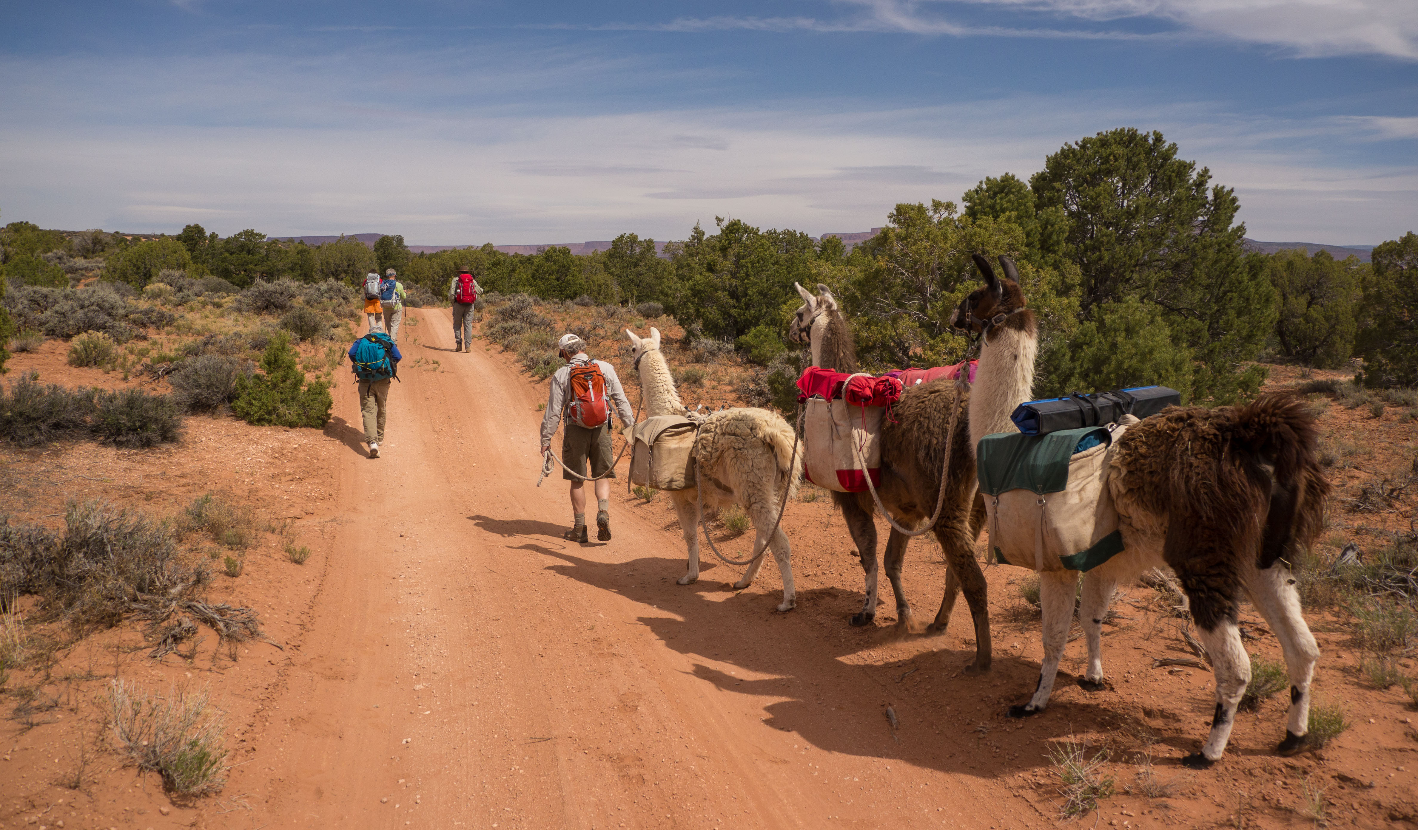 2011_usa_1496.jpg 2011_usa_1496.jpg