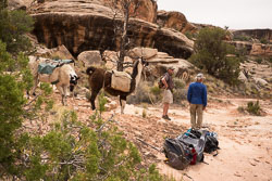 2011_usa_1539.jpg 2011_usa_1539.jpg