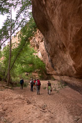 2011_usa_1596.jpg 2011_usa_1596.jpg