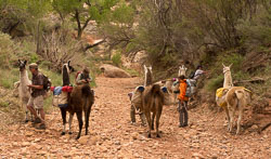 2011_usa_1710.jpg 2011_usa_1710.jpg