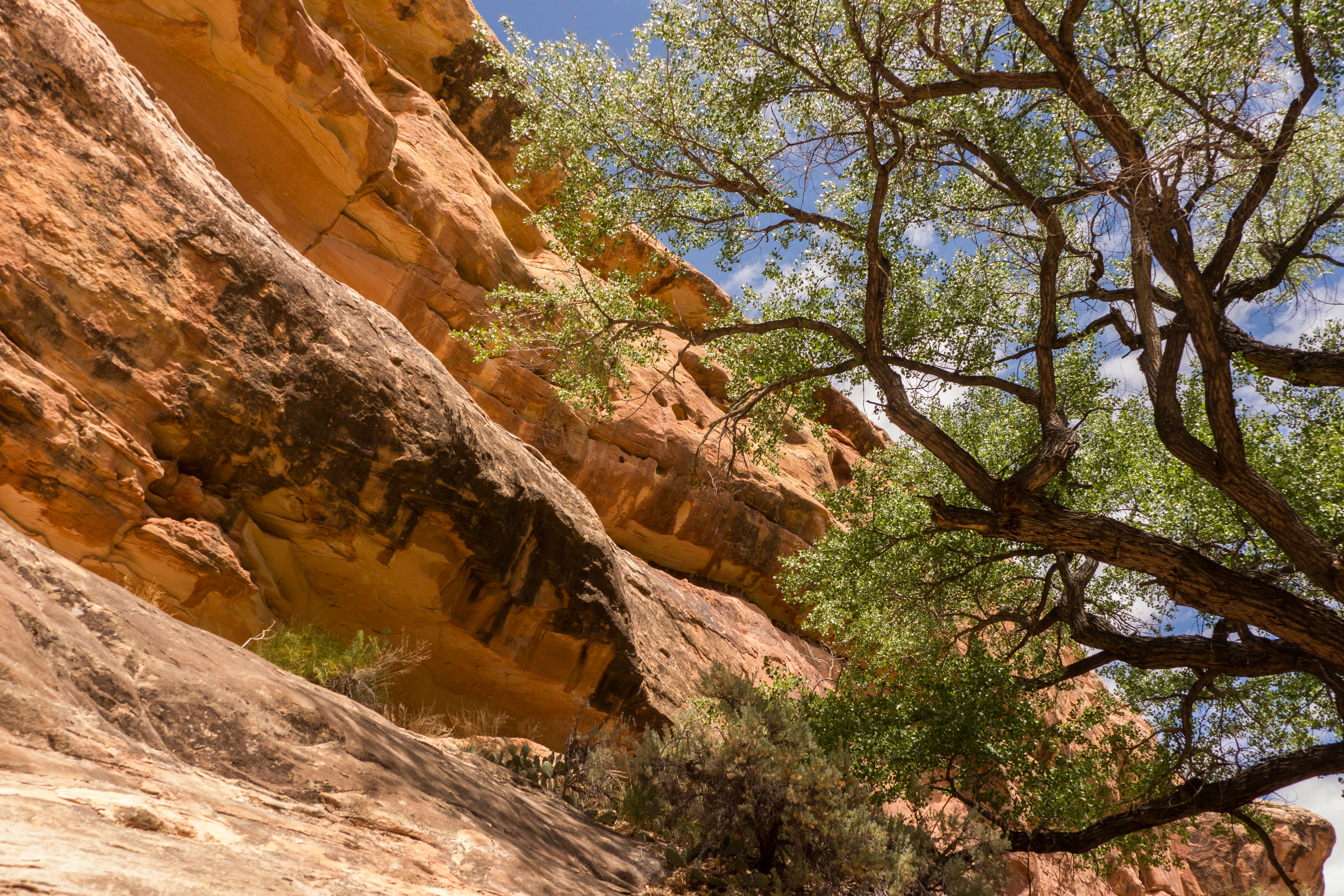 2011_usa_1722.jpg 2011_usa_1722.jpg