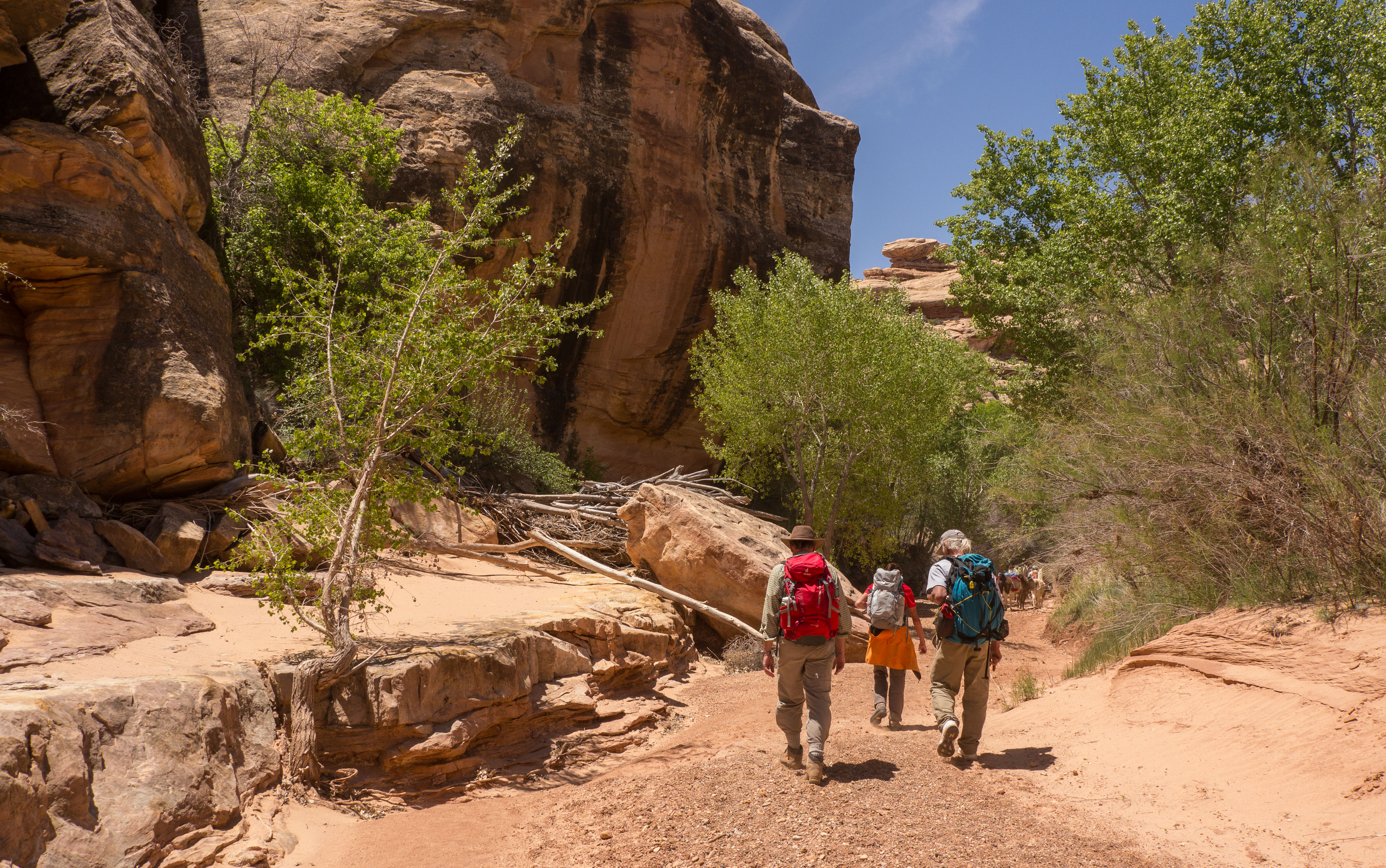 2011_usa_1754.jpg 2011_usa_1754.jpg