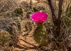 2011_usa_1802.jpg 2011_usa_1802.jpg