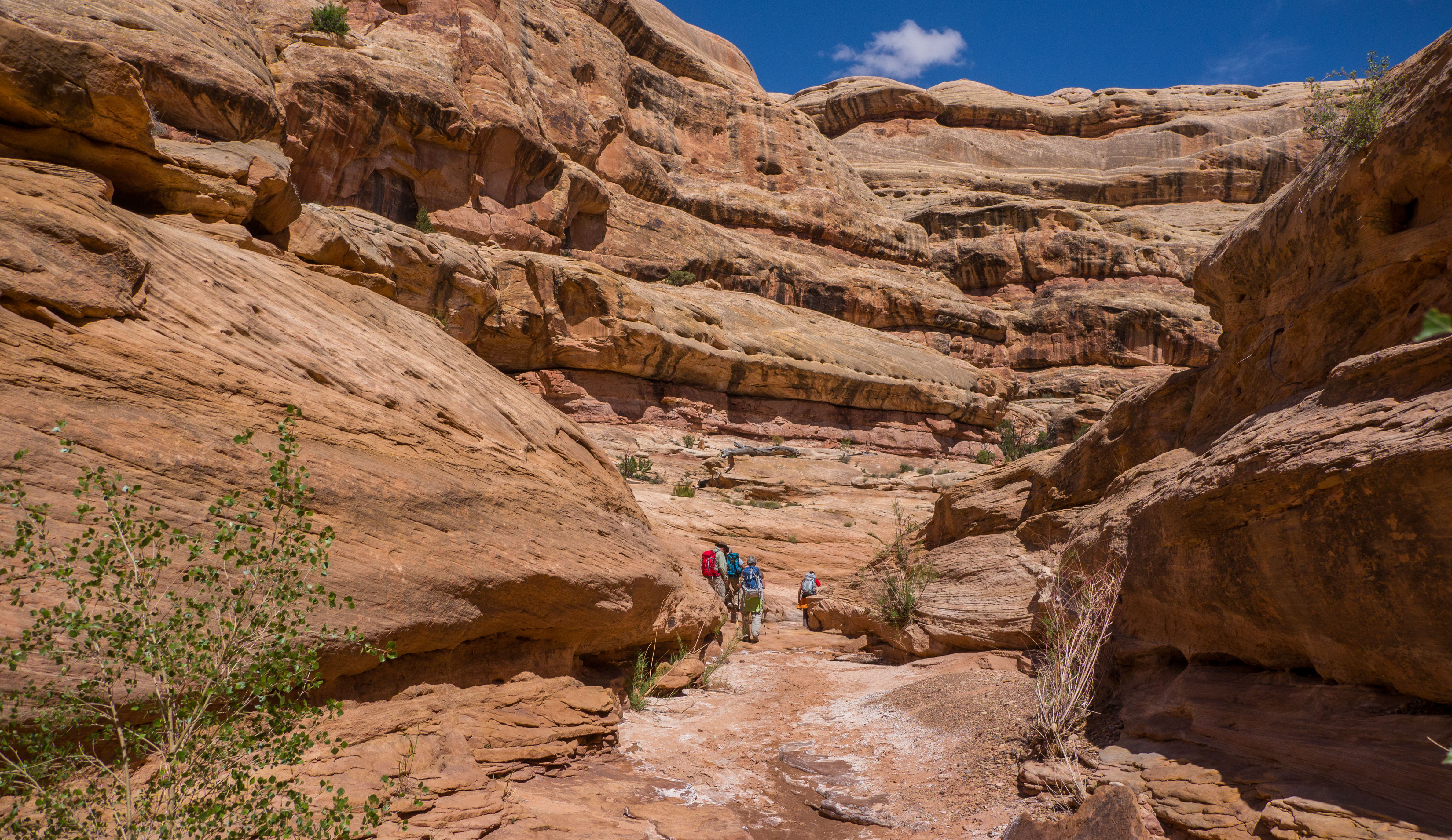 2011_usa_1810.jpg 2011_usa_1810.jpg