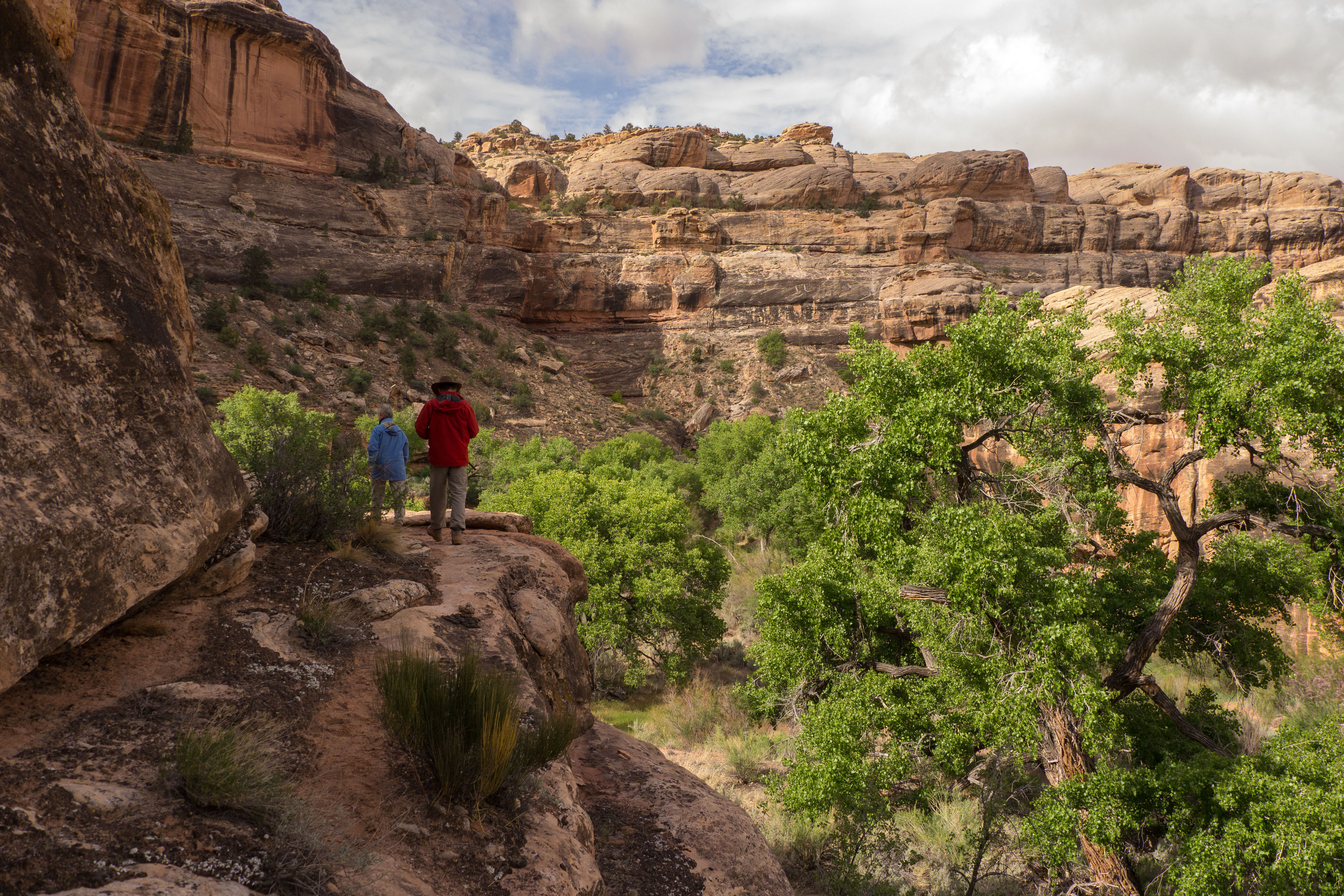 2011_usa_1885.jpg 2011_usa_1885.jpg