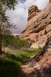 2011_usa_1918.jpg 2011_usa_1918.jpg