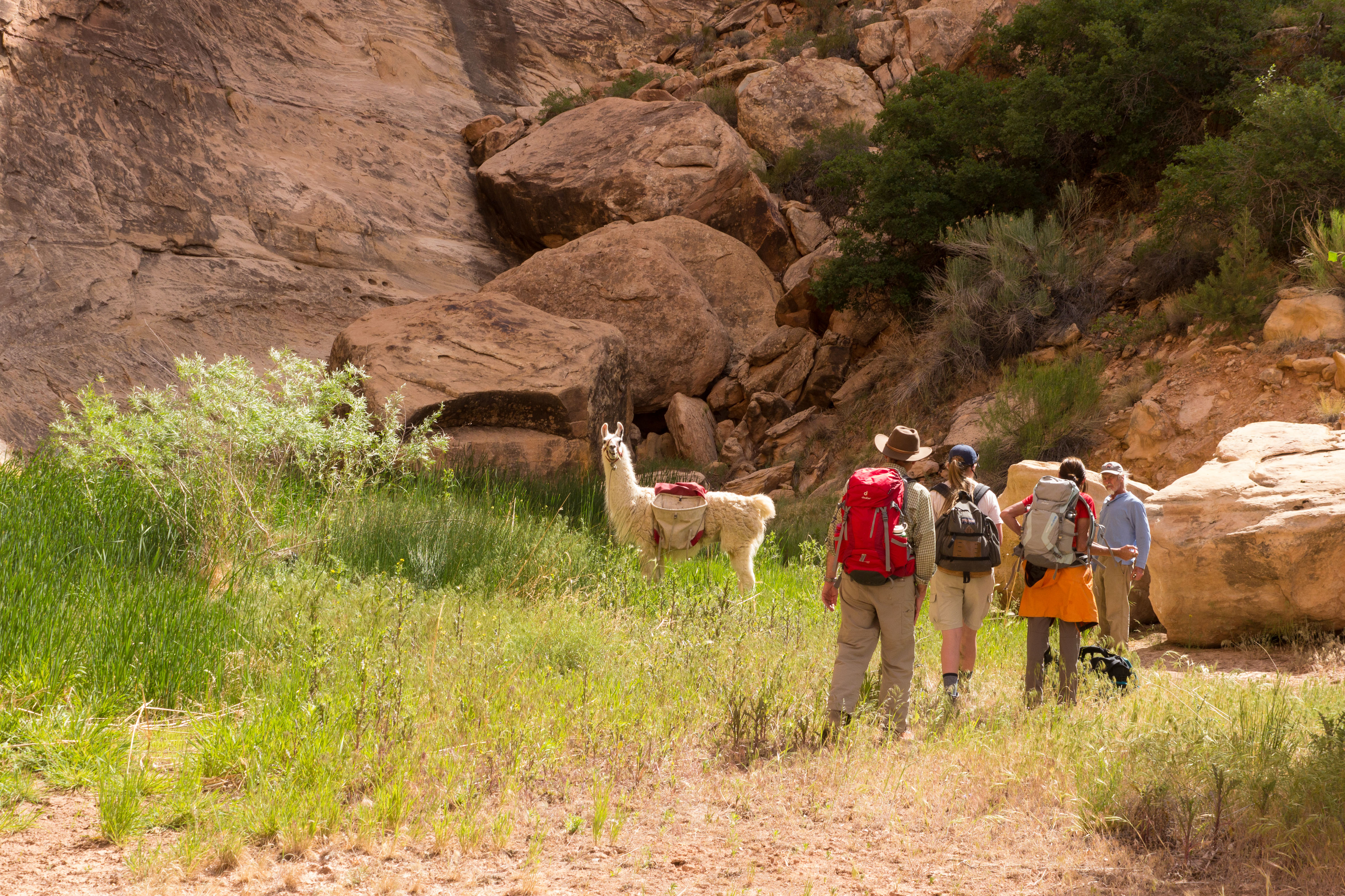 2011_usa_1920.jpg 2011_usa_1920.jpg