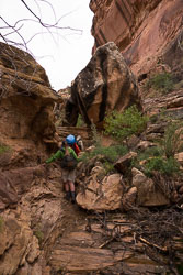 2011_usa_1928.jpg 2011_usa_1928.jpg