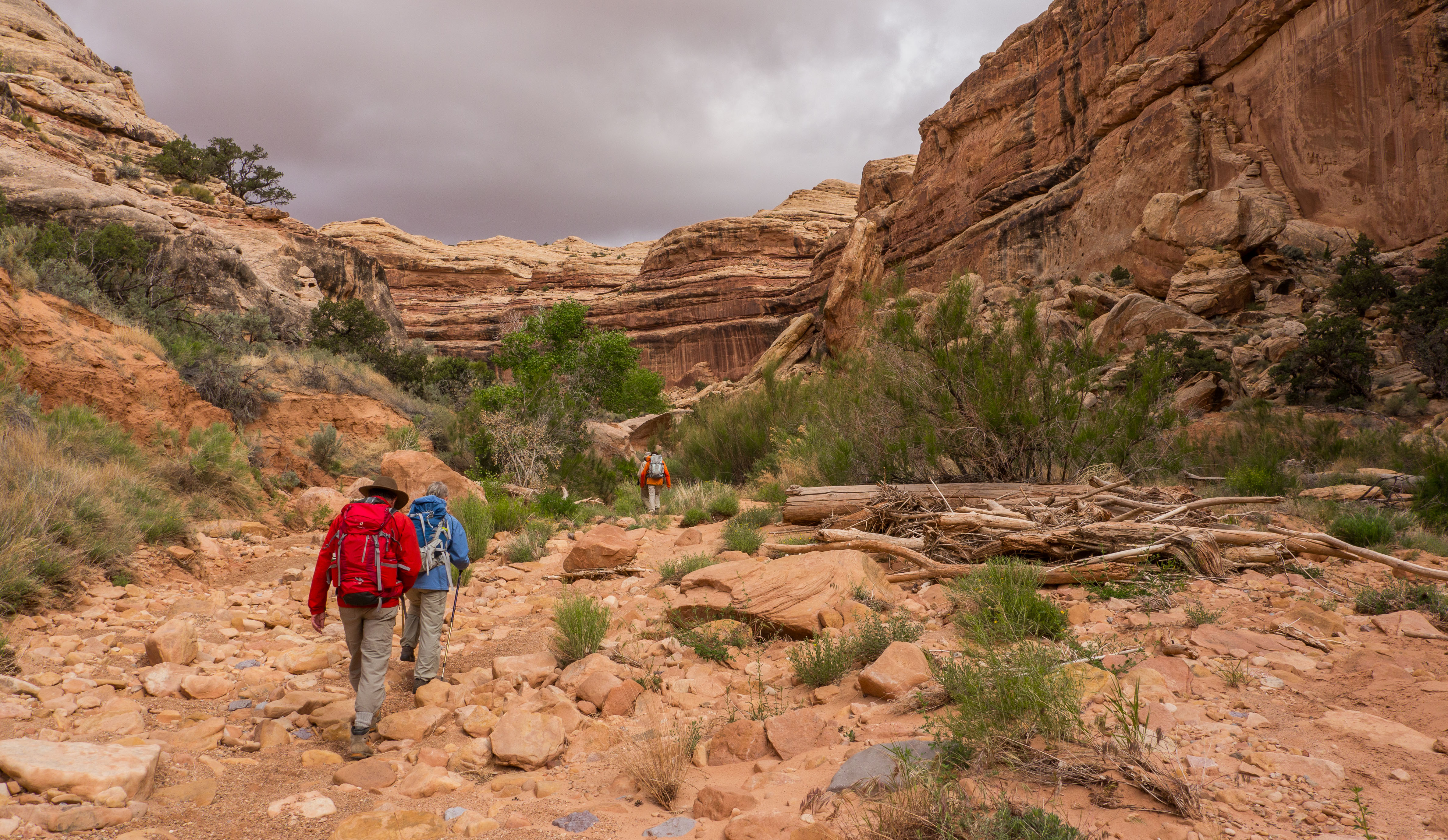 2011_usa_2044.jpg 2011_usa_2044.jpg