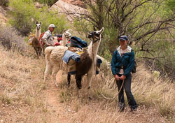 2011_usa_2097.jpg 2011_usa_2097.jpg