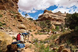 2011_usa_2368.jpg 2011_usa_2368.jpg