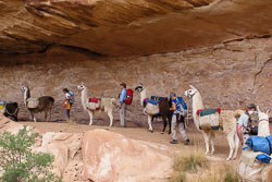 2011_usa_2390.jpg 2011_usa_2390.jpg