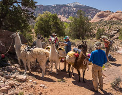 2013_usa_2303.jpg 2013_usa_2303.jpg