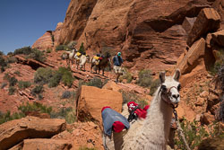 2013_usa_2401.jpg 2013_usa_2401.jpg