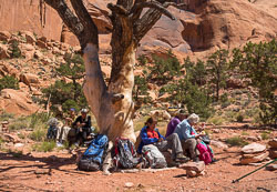 2013_usa_2429.jpg 2013_usa_2429.jpg