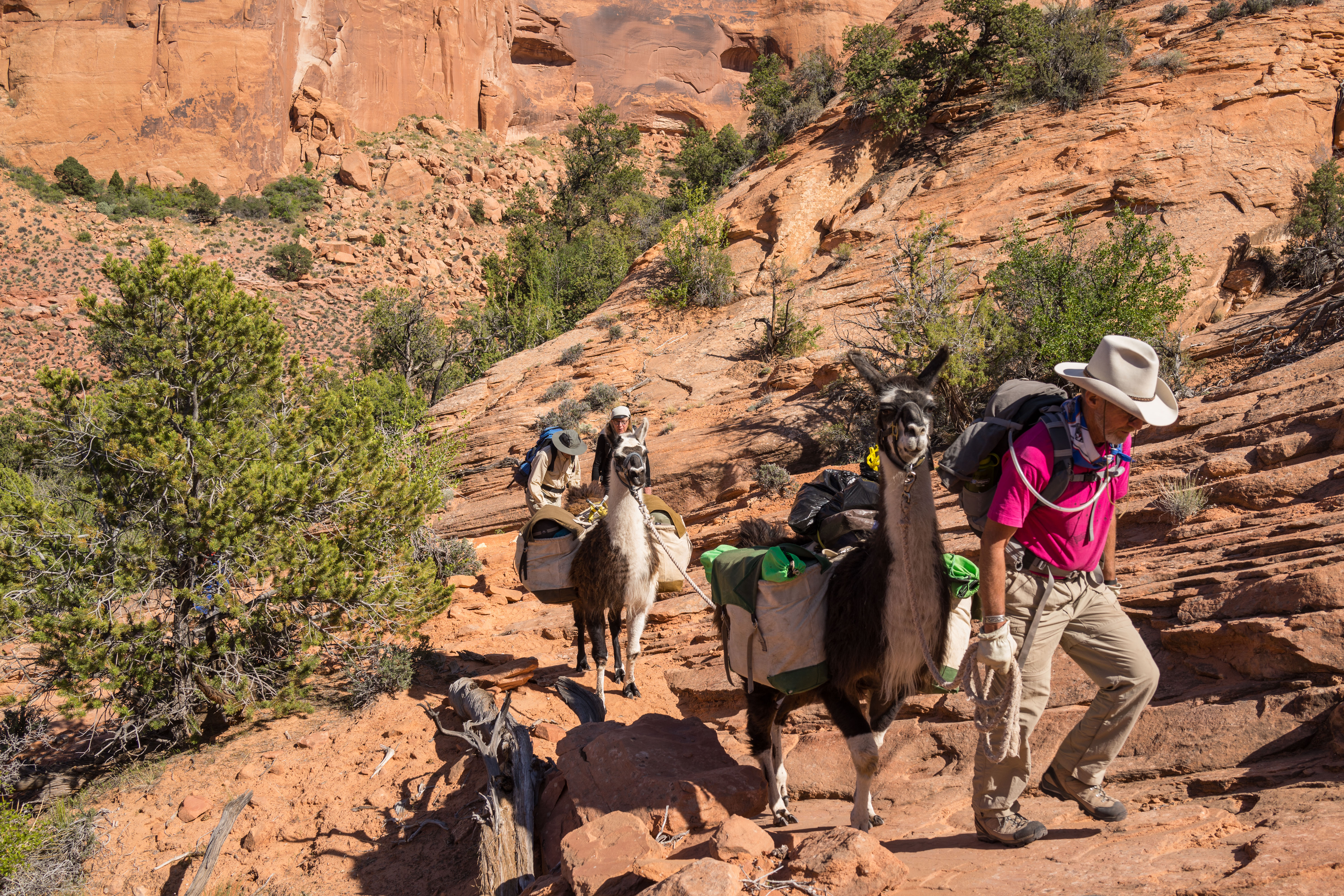 2013_usa_2493.jpg 2013_usa_2493.jpg