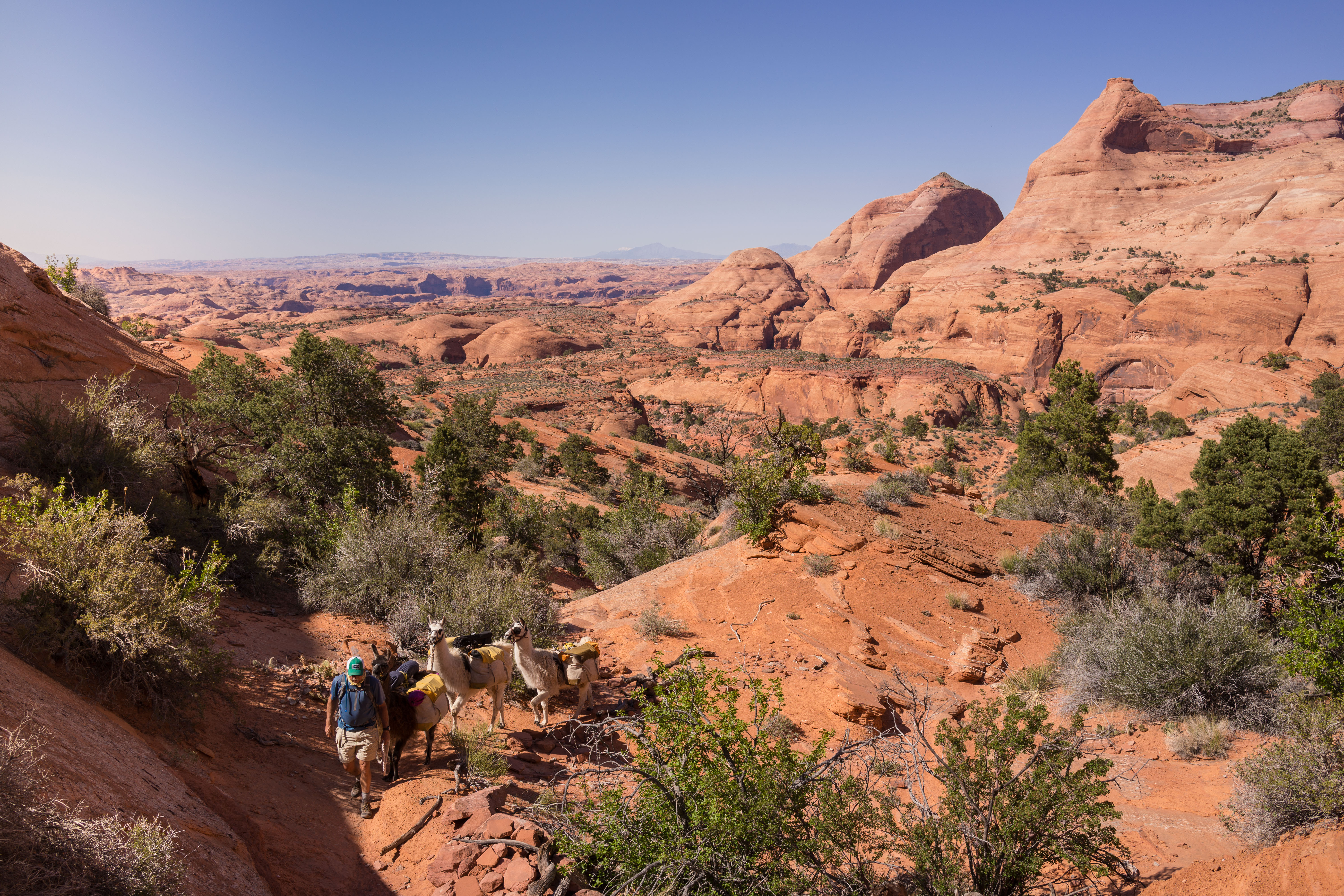 2013_usa_2515.jpg 2013_usa_2515.jpg