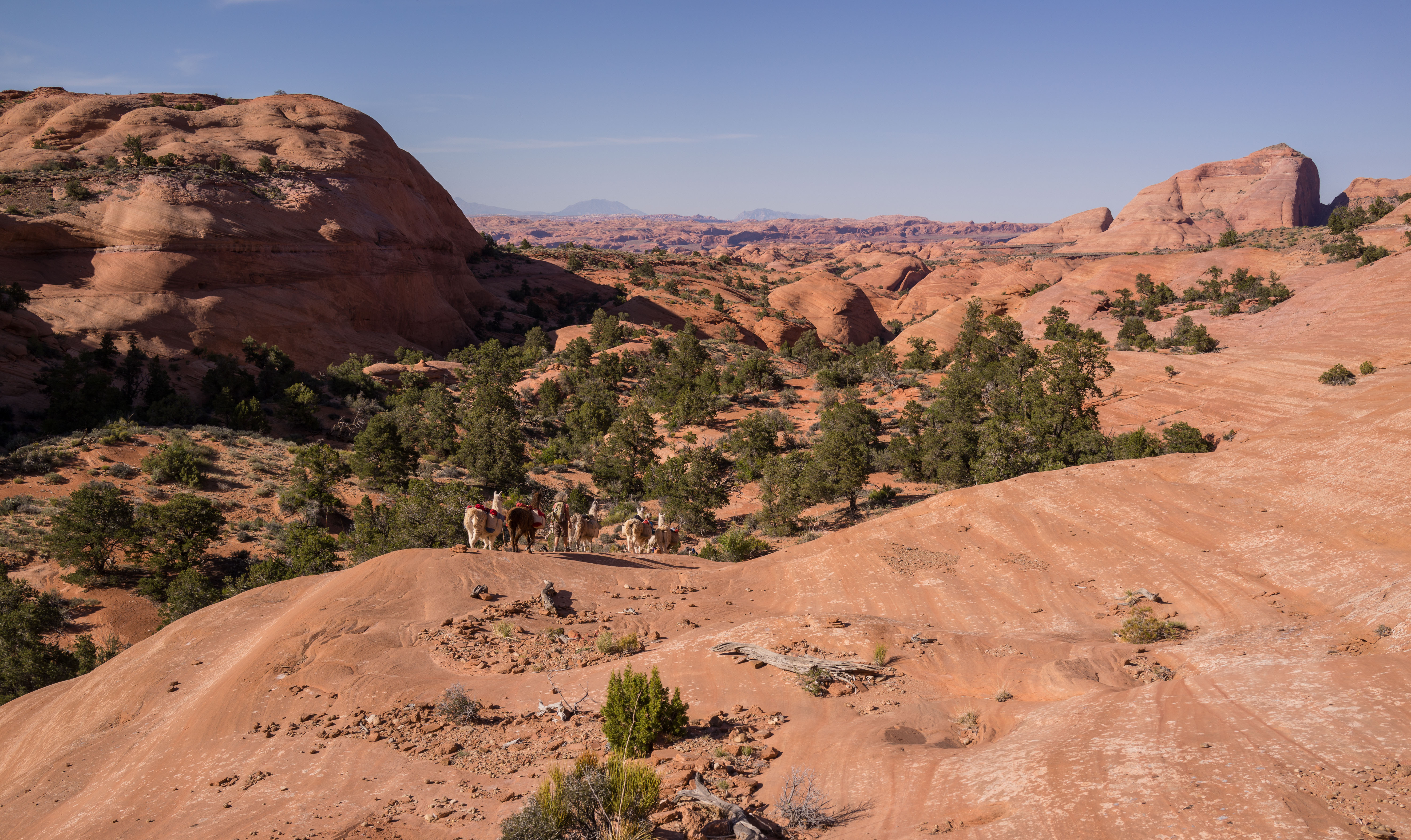 2013_usa_2569.jpg 2013_usa_2569.jpg