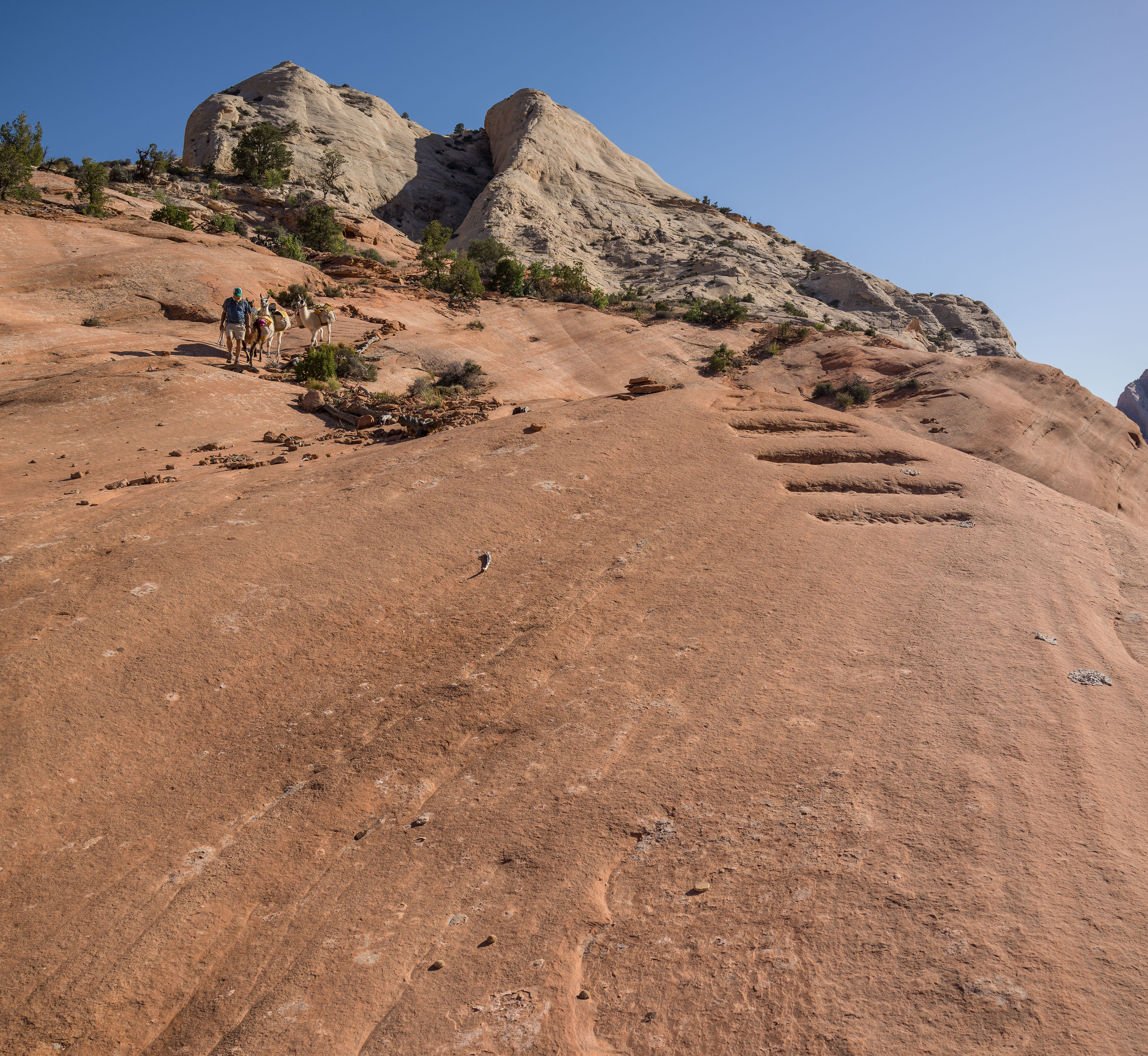 2013_usa_2575-proc.jpg 2013_usa_2575-proc.jpg