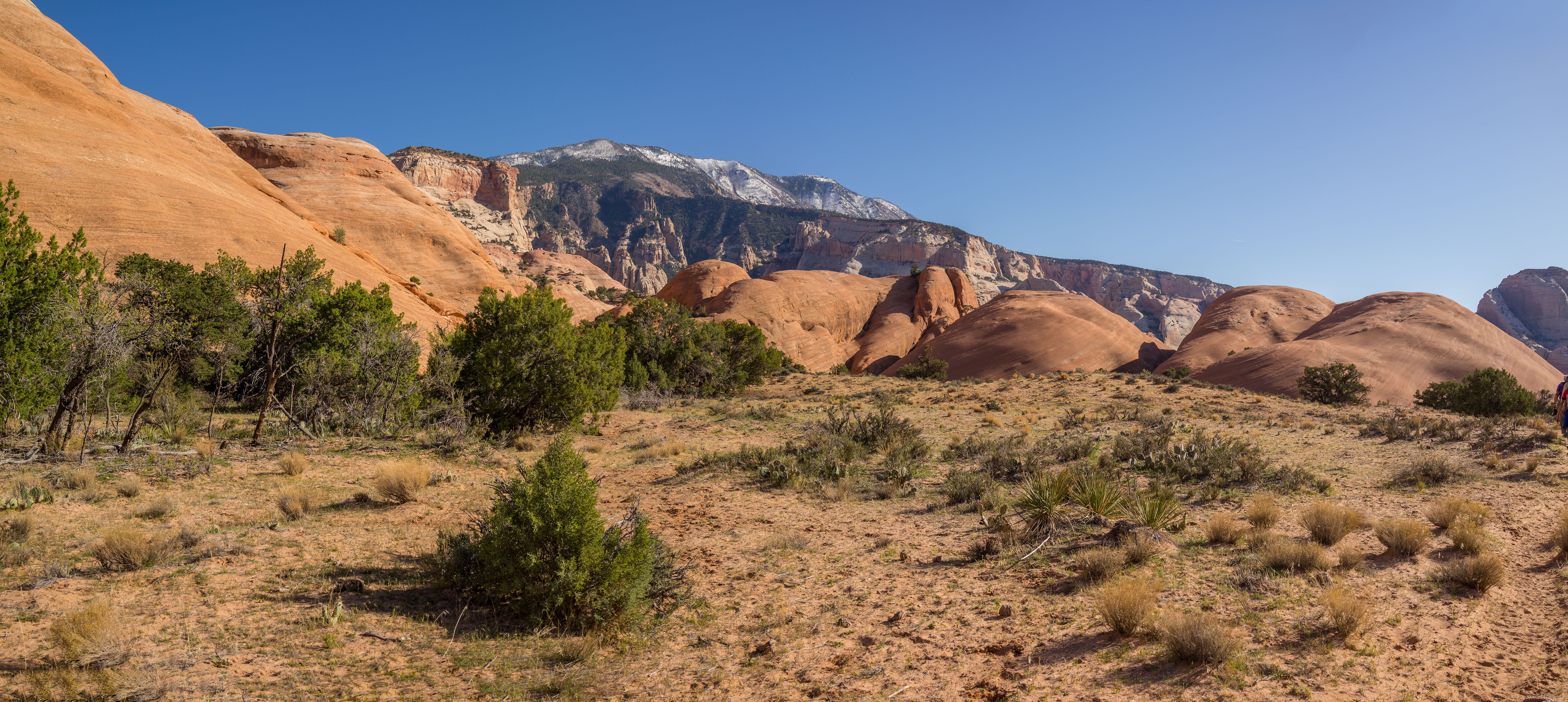 2013_usa_2582-proc.jpg 2013_usa_2582-proc.jpg