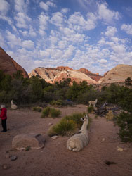 2013_usa_2674-proc.jpg 2013_usa_2674-proc.jpg