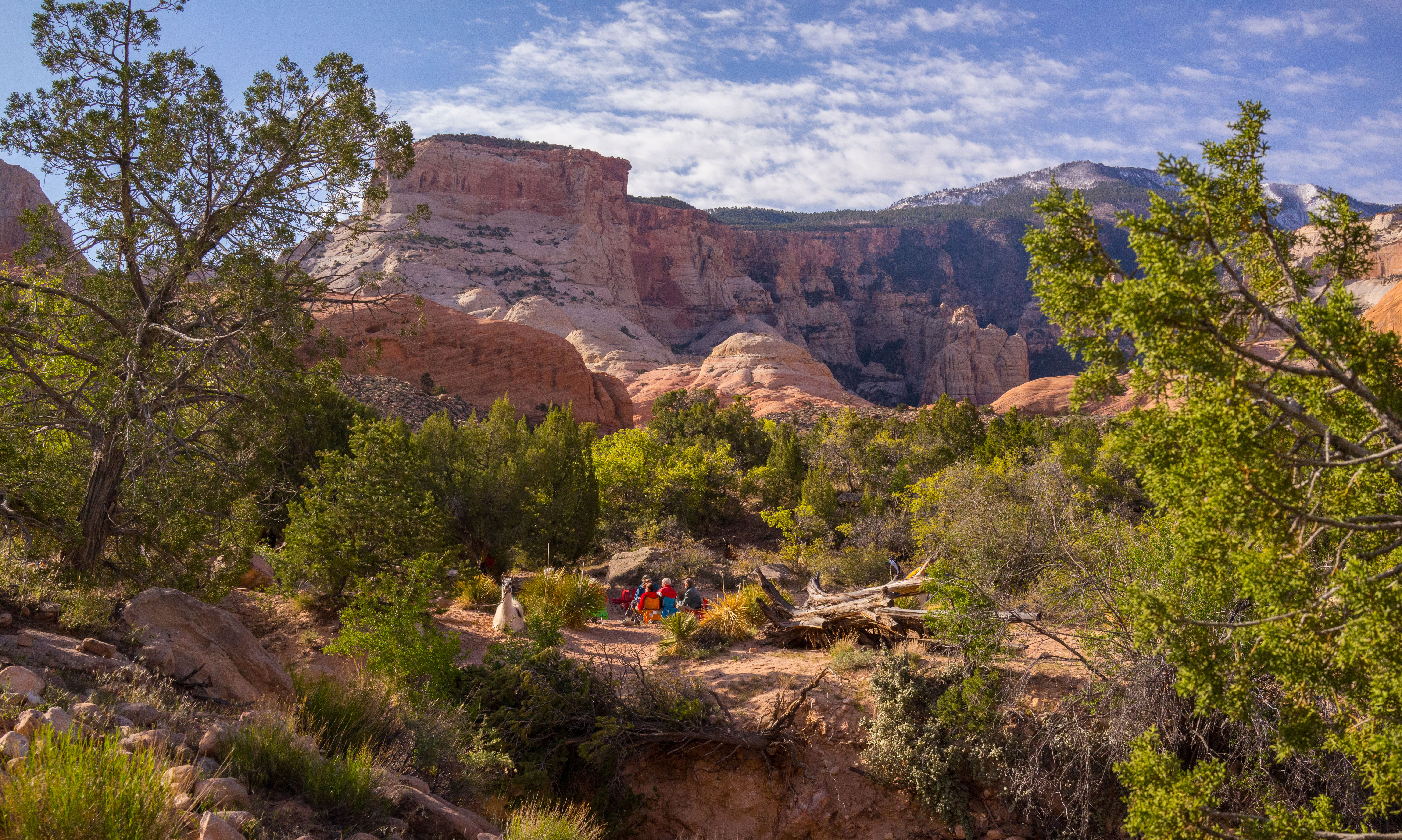 2013_usa_2749.jpg 2013_usa_2749.jpg