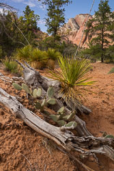 2013_usa_2765.jpg 2013_usa_2765.jpg