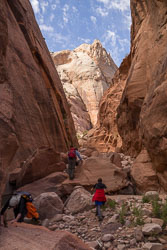 2013_usa_2804.jpg 2013_usa_2804.jpg