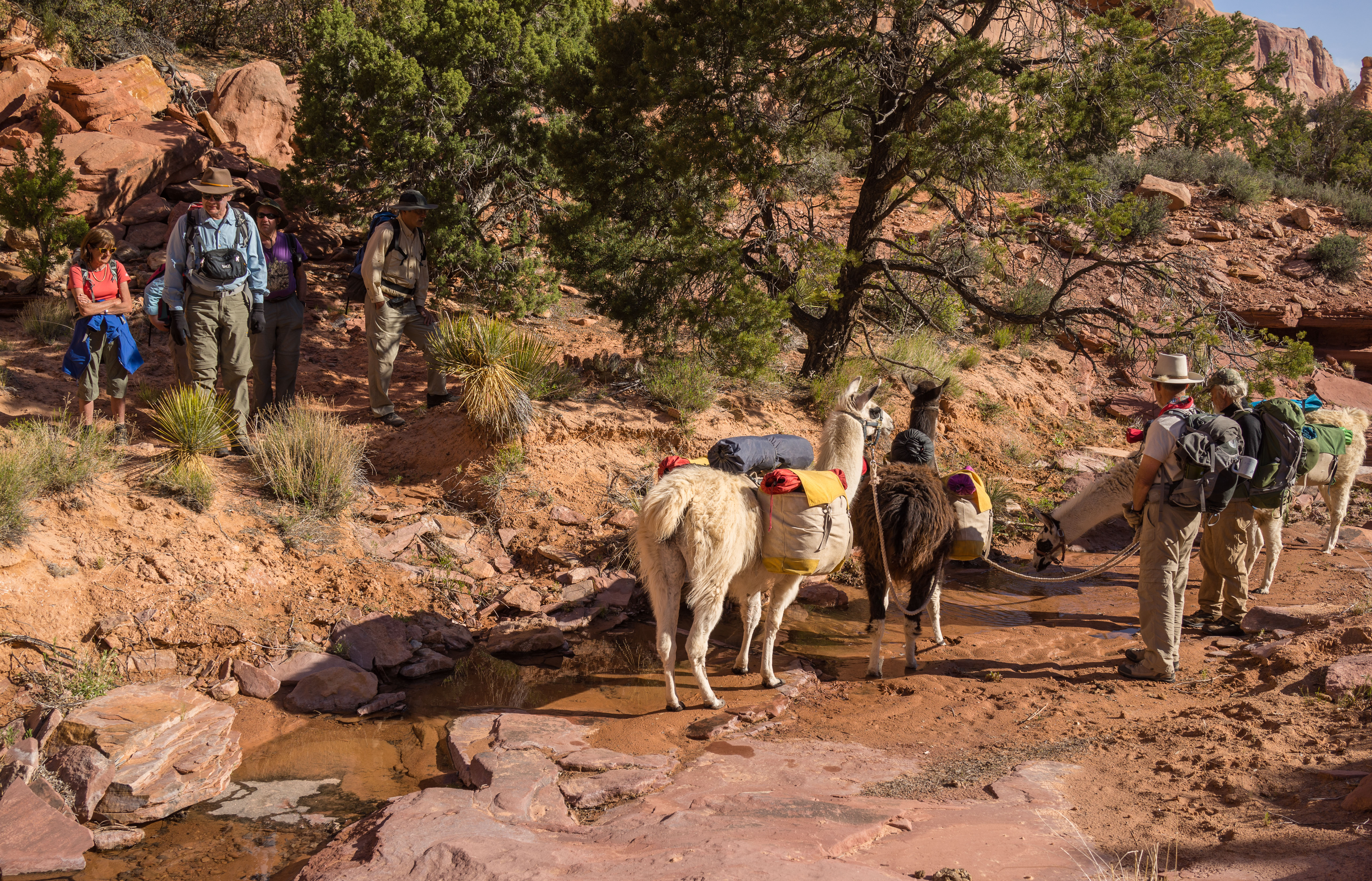 2013_usa_3065.jpg 2013_usa_3065.jpg