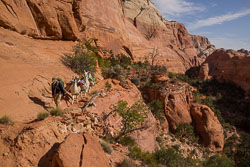 2013_usa_3091.jpg 2013_usa_3091.jpg