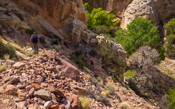 2013_usa_3175.jpg 2013_usa_3175.jpg